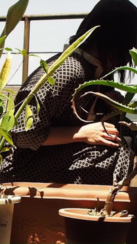 I Pee in the Potted Plant Again