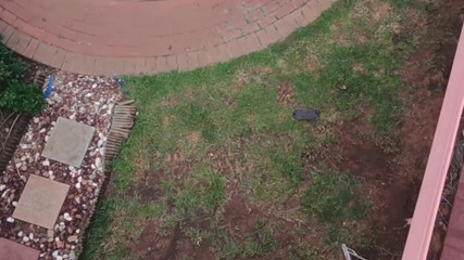 Bigjoefuckalott: Tertangkap jiran saya berkongkek semasa bermain dengan drone saya