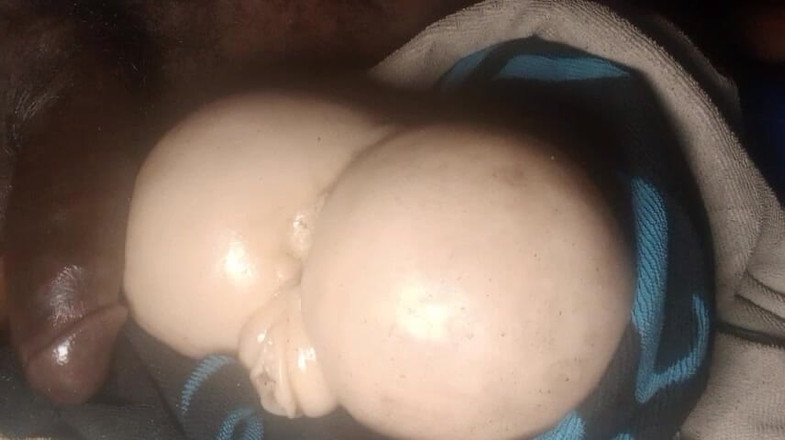 Bangcum8: 큰 자지 섹스 후장 존나게 쩌는 후장