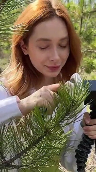 Asmr Day na Floresta comigo