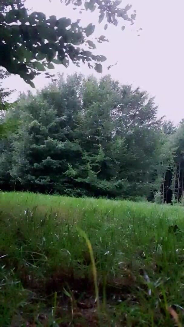 Slutboyben: Slutboyben cam4 abgefickt 和 vollgerotzt 户外