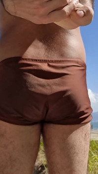Furry Enjoying the Beach