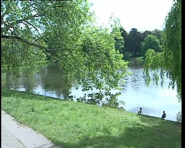 YOUR FIRST PORN: 公園で赤毛のシモーネに会った