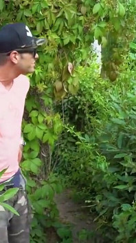 Jerking off in a Park with Voyeurs