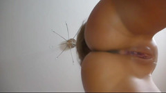 Watch4beauty: 从布拉格回来