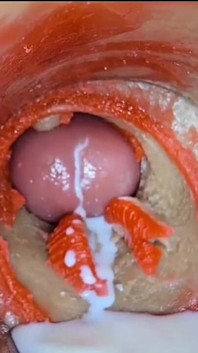 Best Compilation Crempie Pussy - Camera Inside 4K