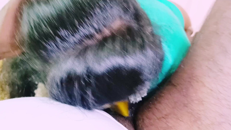 Telugu honey lips: Свекон трахает индийскую жену пасынка Телугу, грязные разговоры