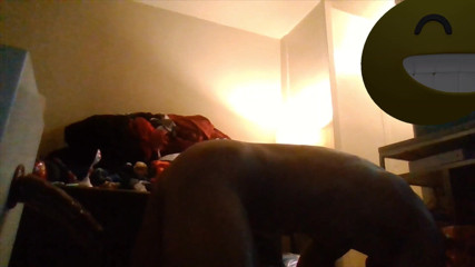 Beefstik: 12.5 Thick Hard and Long
