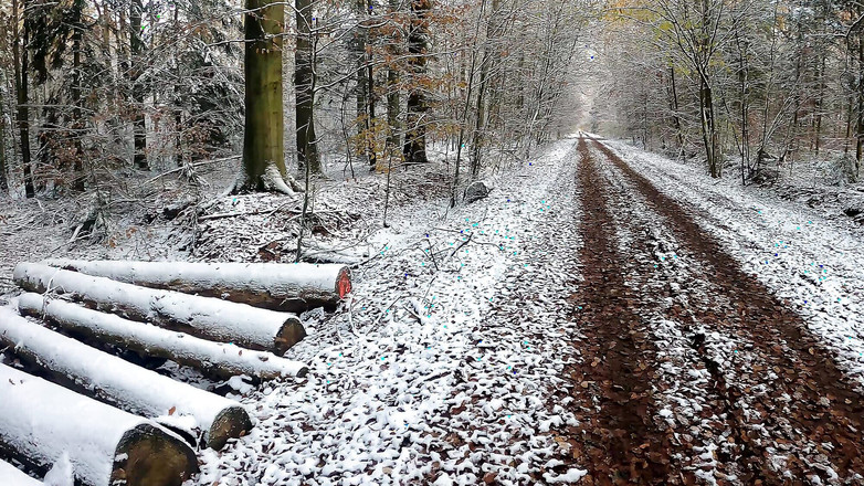 Bouncy Tits Action: Harte nackte muschi-spanking im Winterwunderland