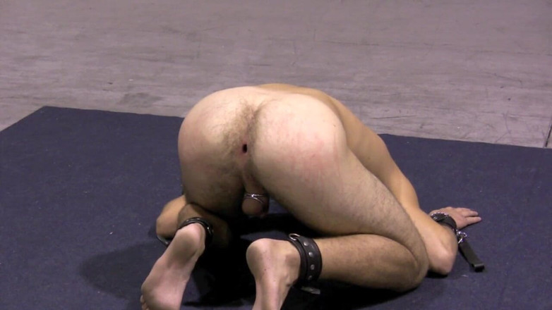 Dream Boy Bondage: Dobře nastříkaní otroci - kapitola 4