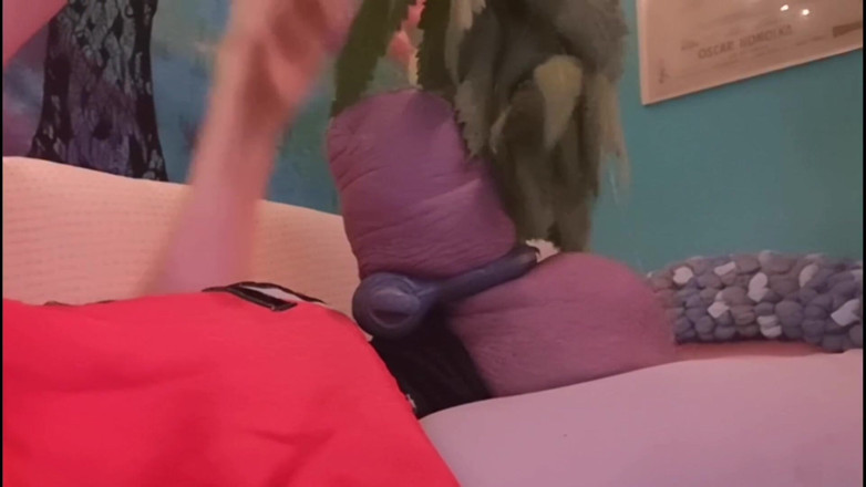 Monster_Meat_: Nettles drive me crazy