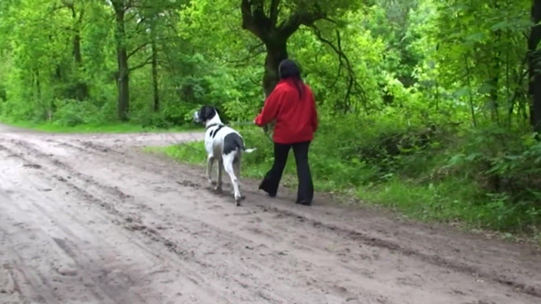 Public Entertainment: Chubby and horny brunette was walking her pet when she...