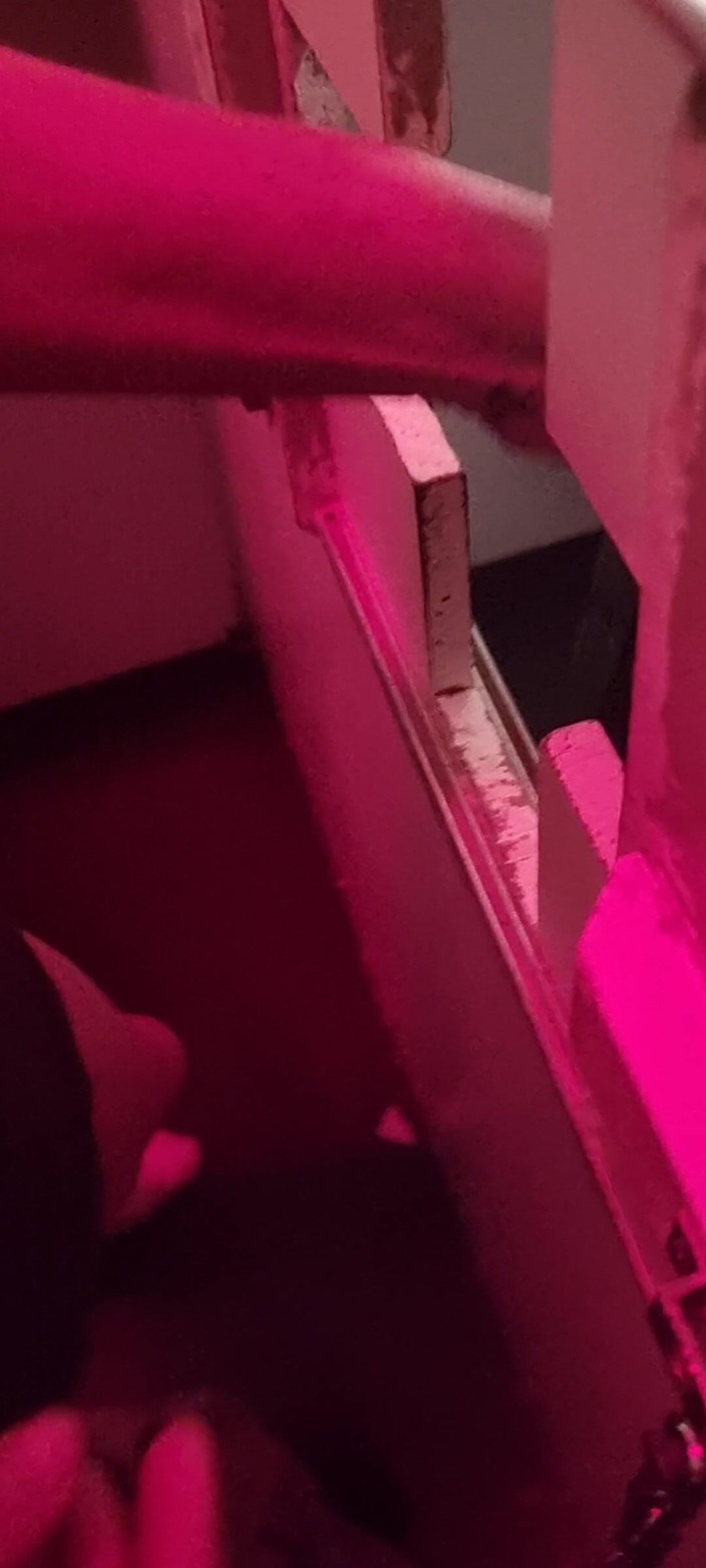 R b hubby: Cette prof mariée n’en a jamais assez du glory hole