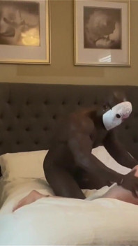 Stacxxxs představuje Nightm na PAWG St