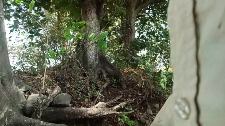 Fucklife_360: Hintli mastürbasyon