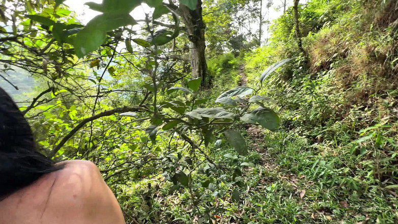 Mr Roca: Une brune latina sexy s’excule dans la forêt