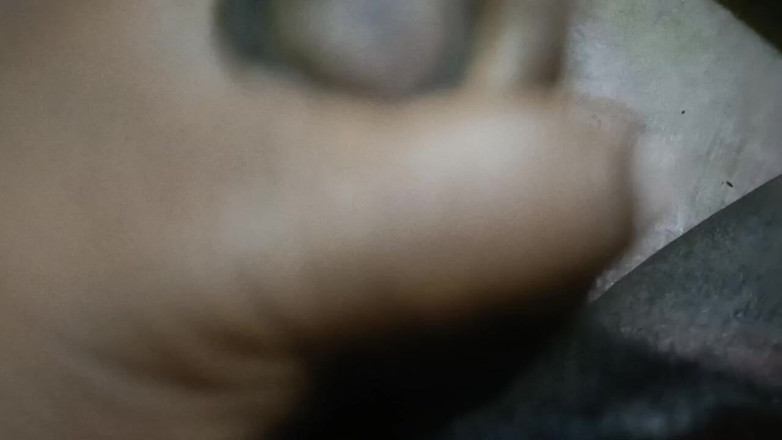 LegalVector8: Indiana foda hindi