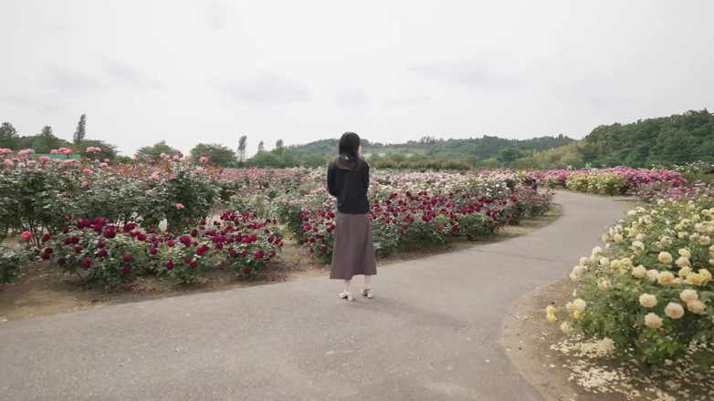 Sky Angel: Asian angel 3691