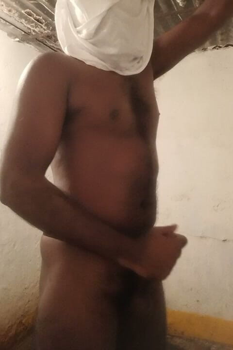 Mr xxx gay: XXX Videos Jhk
