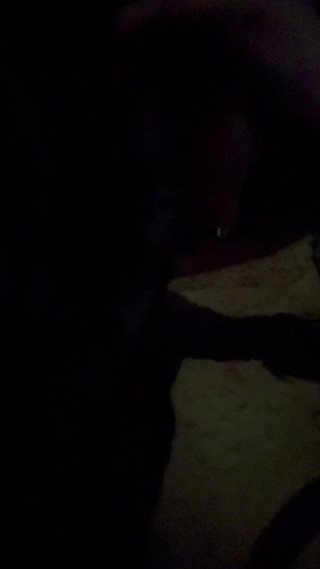 Slave 1976: Riskantní řízení