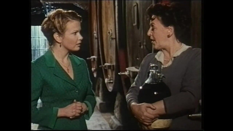Vintage megastore: Secret Vintage Affairs