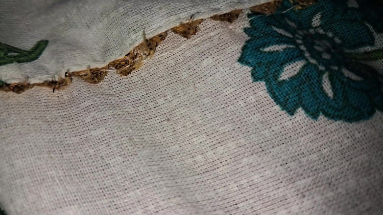 xshika: Desi flickvän suger stor kuk tills sperma i munnen