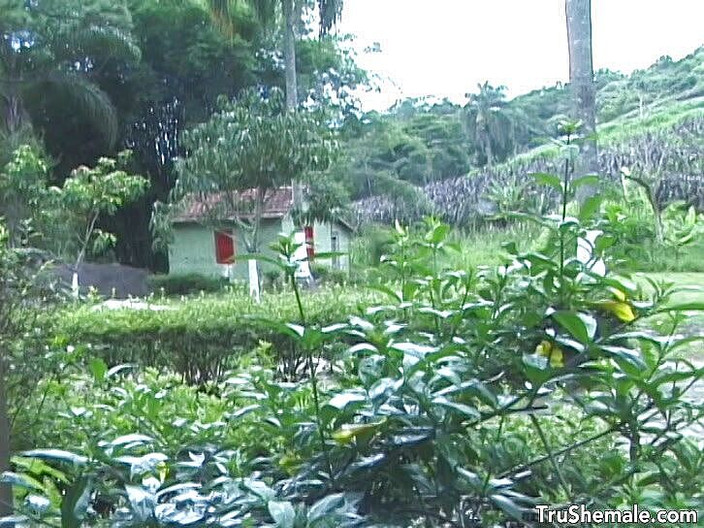 Tru Shemale: Tbabe Rubio con un pene micro viene inchiodata dal suo...