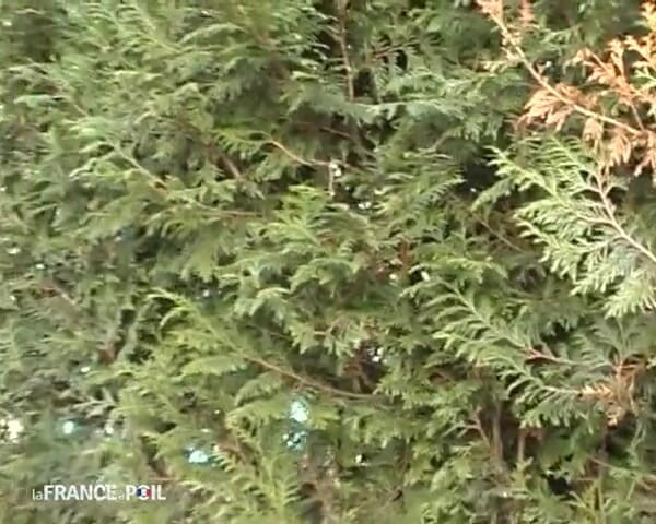 La France a Poil: Красива висока чорна повія вперше содомізована перед камерою