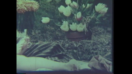 Vintage megastore: 无情地给我硬的