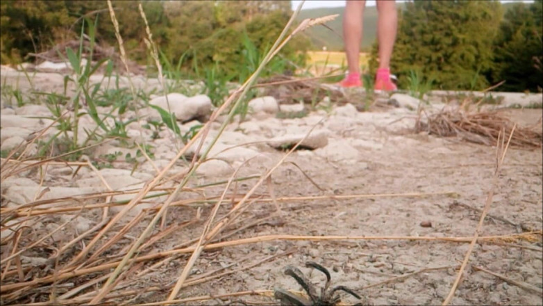 Aureliakreit: Pamer sekilas aurelia hiking