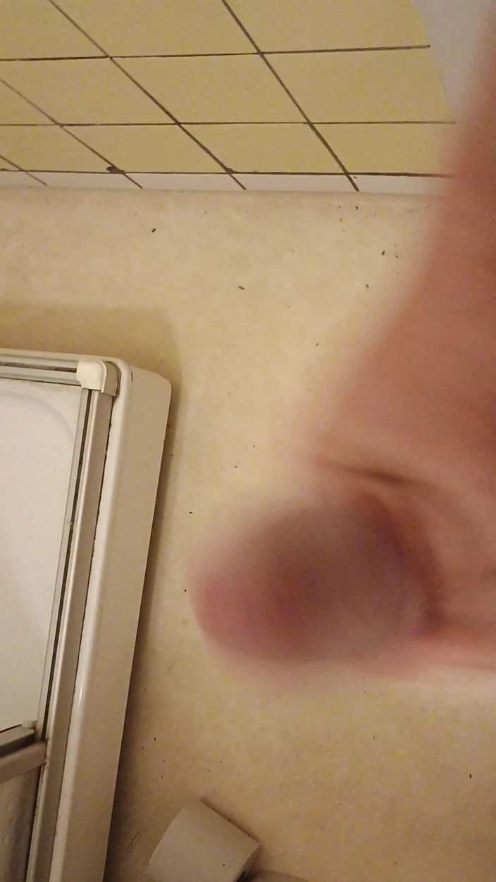 Public Toilet 4