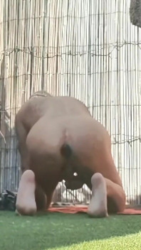 5 mins de bunda
