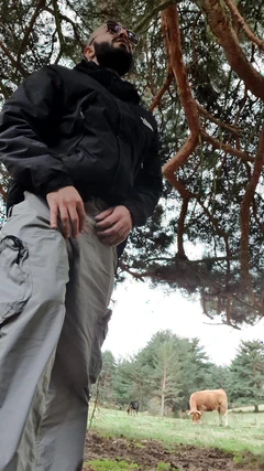 Zagubiłem się w lesie, czy ktoś mi pomoże?