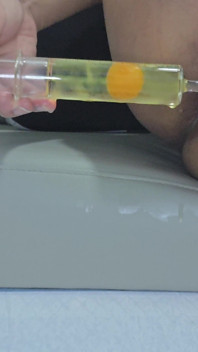 Sissy Kanisa Anal Training: Eggs Injection Anal Plugged and Cock Caged