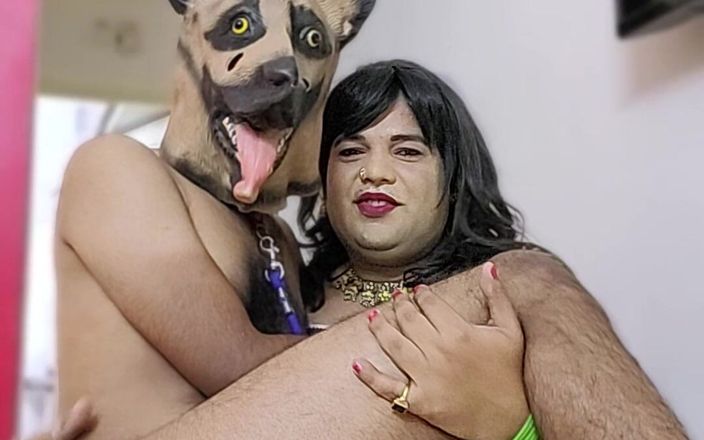 Indiansissychubby: Můj nový mazlíček Shinzu