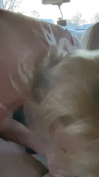 Cute Blonde Slut Caught Pissing and Fucked in the Ass