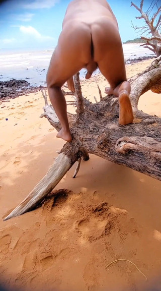 Ladysilvas: Ladysilva