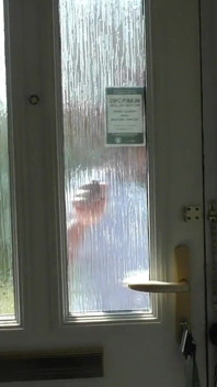 Sveltina di una MILF monella con il workman Mr_mobydick