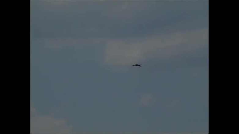 Deutschland porn: Jerman tanpa malu!! - (episod #01)