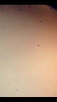 2028770822.mp4
