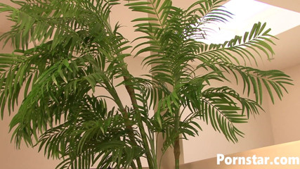 Pornstars: Ebony Nyomi Banxxx cummed on her pretty face