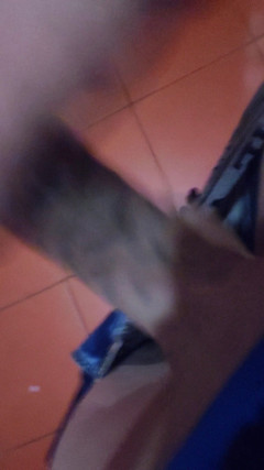 Hard big Tatooed cokk!: O tato!