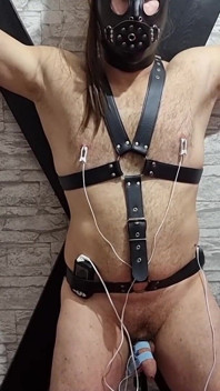 Bunyi elektro regangan Urethra - zakar berdenyut dalam agony perhambaan