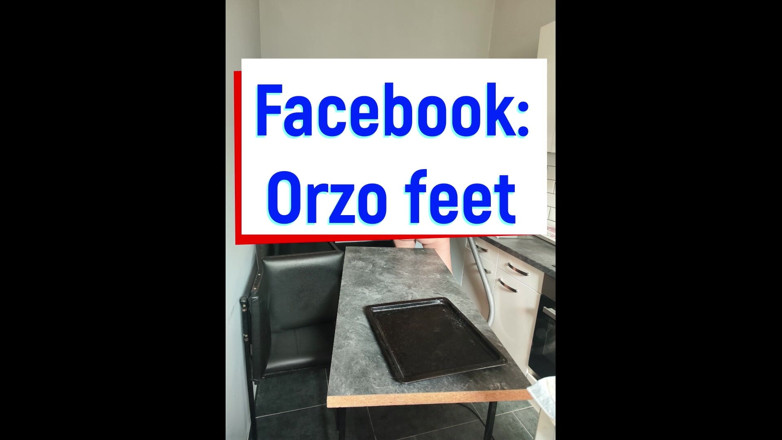 OrZo: Cleaning Day Part 1