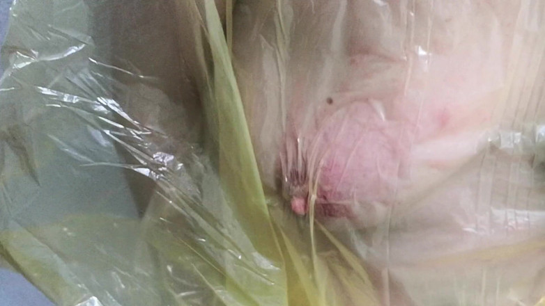 Bouncy Tits Action: Tetek dalam kerajang