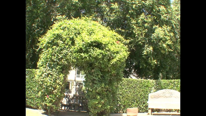 My girlfriend: Lidah berkongkek dalam cunnilingus mendalam