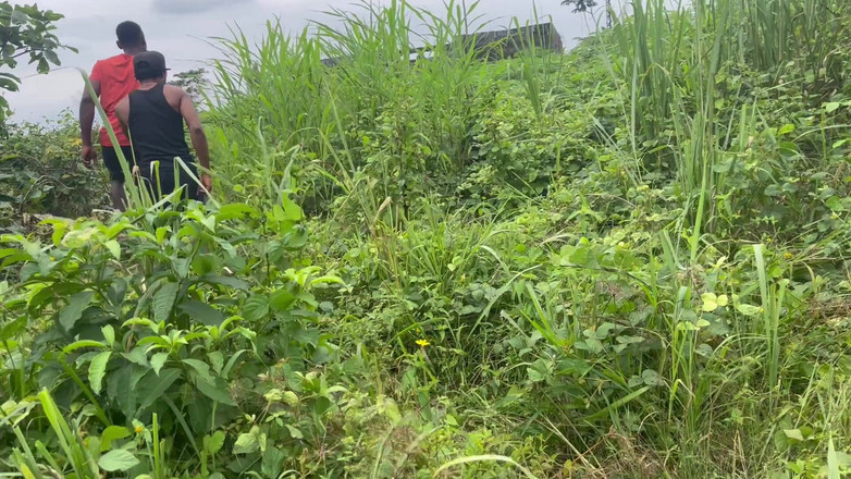 Sexypeller: Шокирующий лес