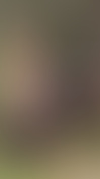 Risky Sex in the Forest - Blowjob, Hot Sex, and Explosive Climax