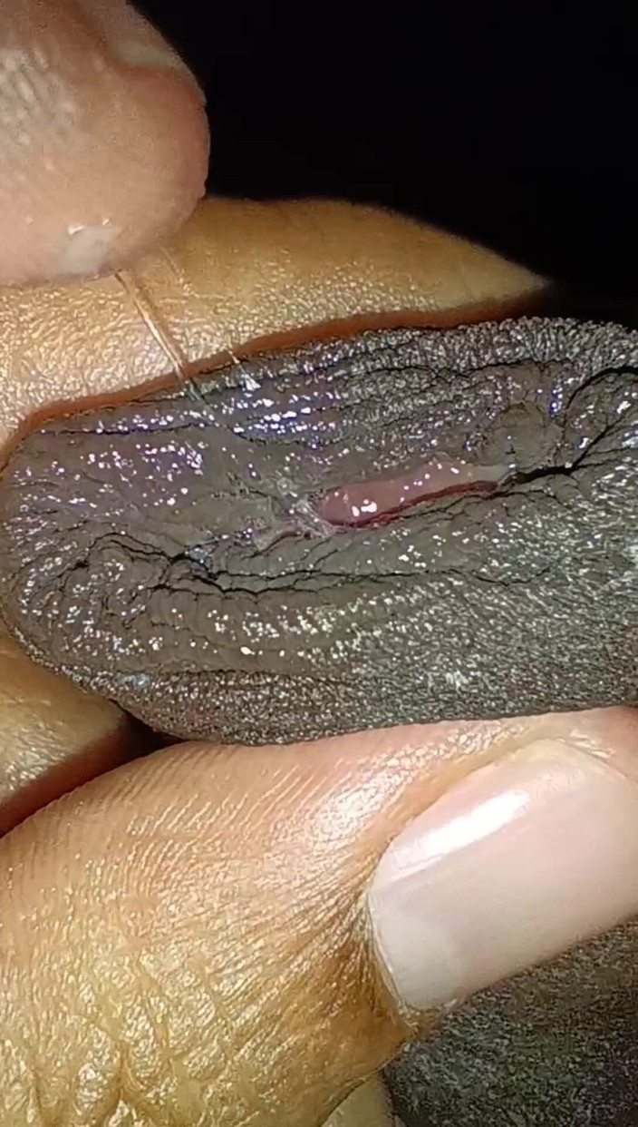 Tommhot: Compilation of Precum Videos