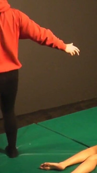 Wrestling